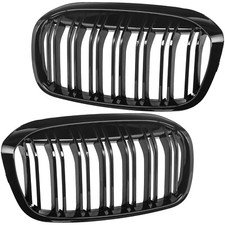 Nieren Grill Kühlergrill