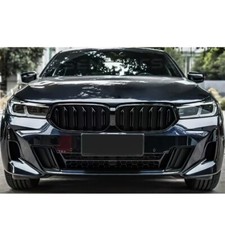 Nieren Grill Kühlergrill