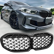 Nieren Grill Kühlergrill