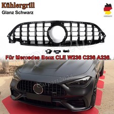 Kühlergrill Panamericana GT