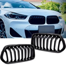 Nieren Grill Kühlergrill