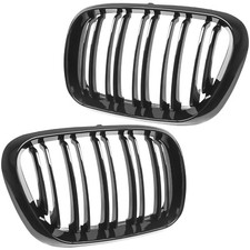 Nieren Grill Kühlergrill