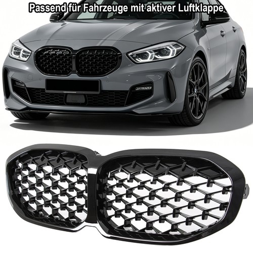 Nieren kühlergrill für - nieren,